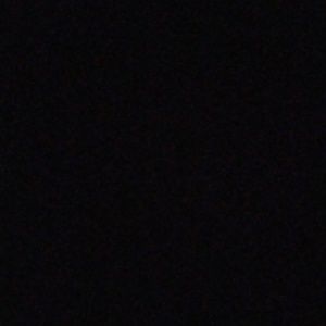 Meet your Posher, Maya